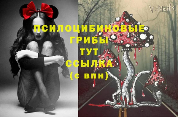 соль курить ск Бородино