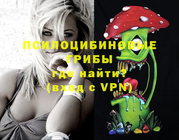 эйфоретик Белокуриха