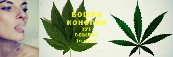 хмурый Богданович
