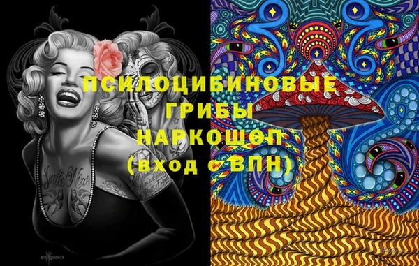 mix Богородицк