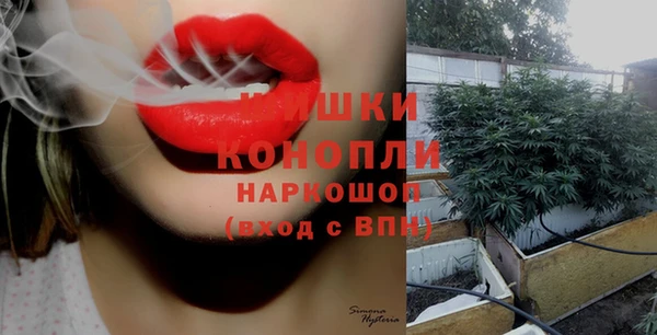 mix Богородицк